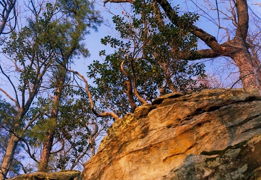 Sheltowee Trace sunset